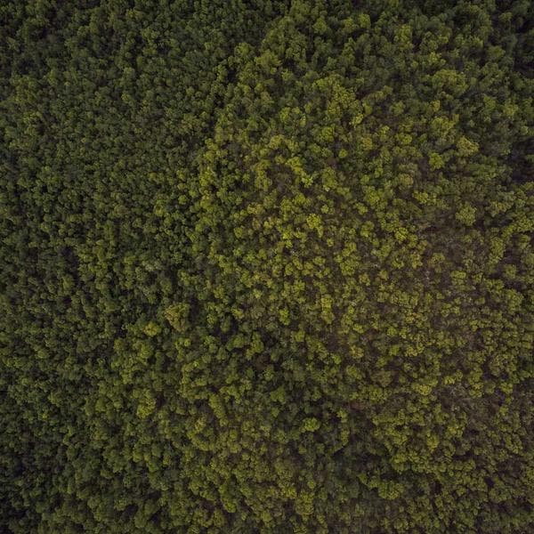 Woolen Wall Hanging — Sunrise 2