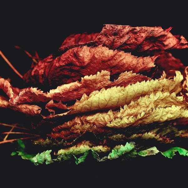 Handwoven Woolen Cuff Bracelet