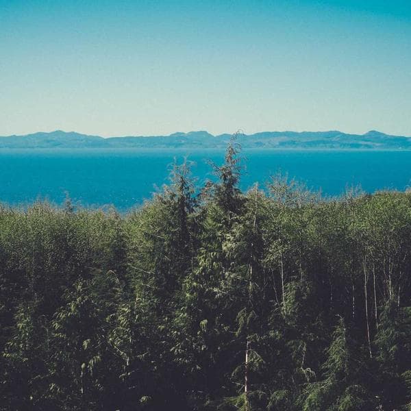 Woolen Cushion Cover — Floral 2