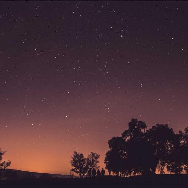 Mini Woolen Potted Plant Decor